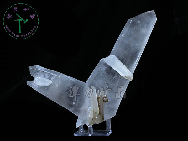 日本律雙晶，內(nèi)蒙古內(nèi)蒙古，東烏珠穆沁旗，額仁高畢,六井,976層,2016年產(chǎn)出