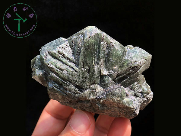 亞歷山大石（變石）輪式雙晶+津巴布韋，12x10x5.0(陽光下拍攝)