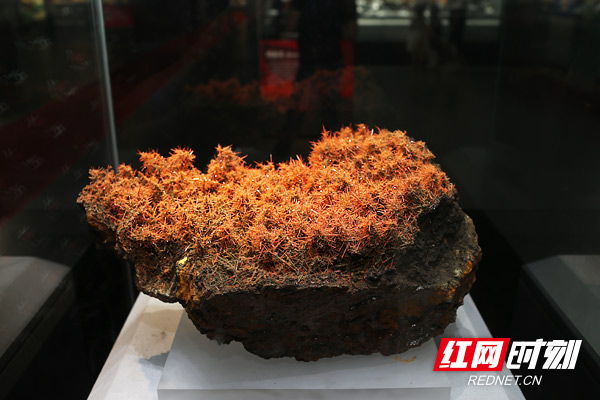 譚力礦晶-礦物標本,礦物晶體,地質(zhì)標本,寶石標本,礦晶 譚力礦晶-礦物標本,礦物晶體,地質(zhì)標本,寶石標本,礦晶